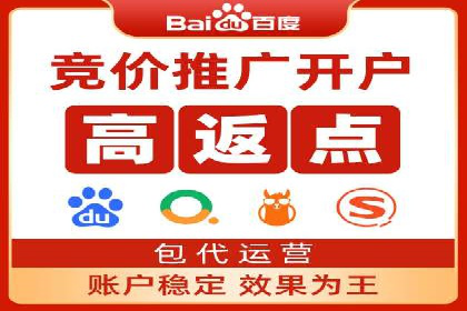 行业经典案例：SEM推广代运营如何助力销售增长